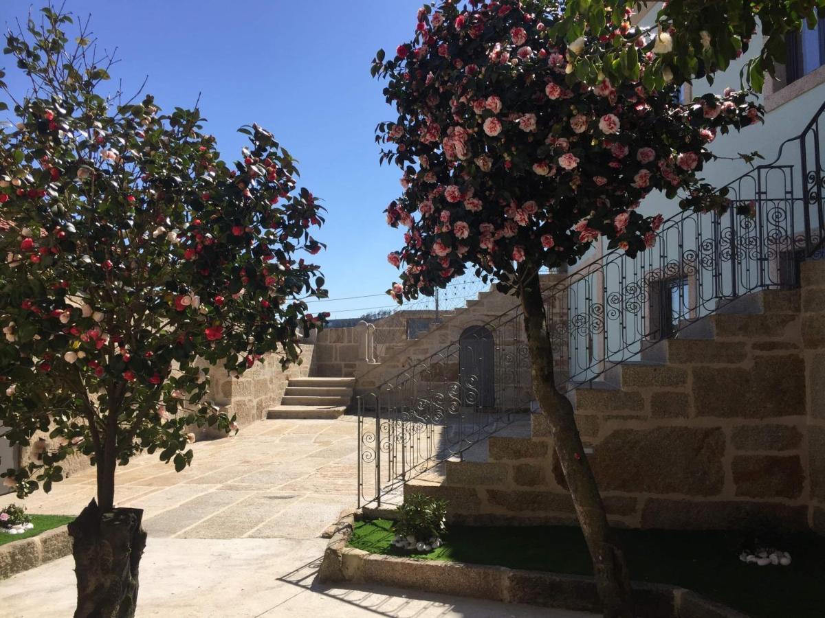 Casa Do Negroes Villa Boticas Dış mekan fotoğraf